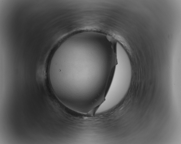X0000088690628200706141413