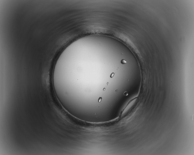 X0000088690629200706141413