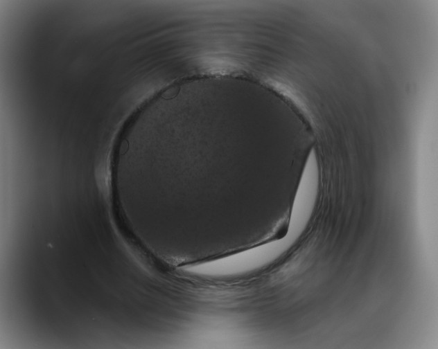 X0000088690630200706141413