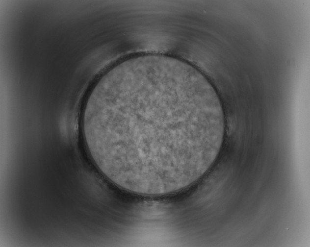 X0000088690632200706141413