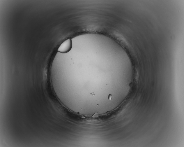X0000088690636200706141413
