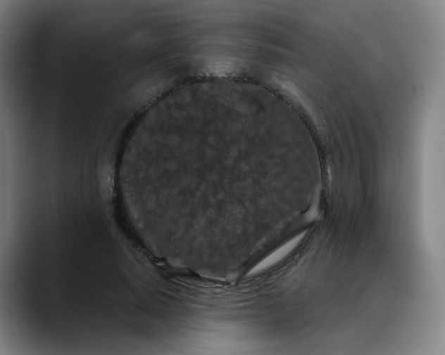X0000088690640200706141413
