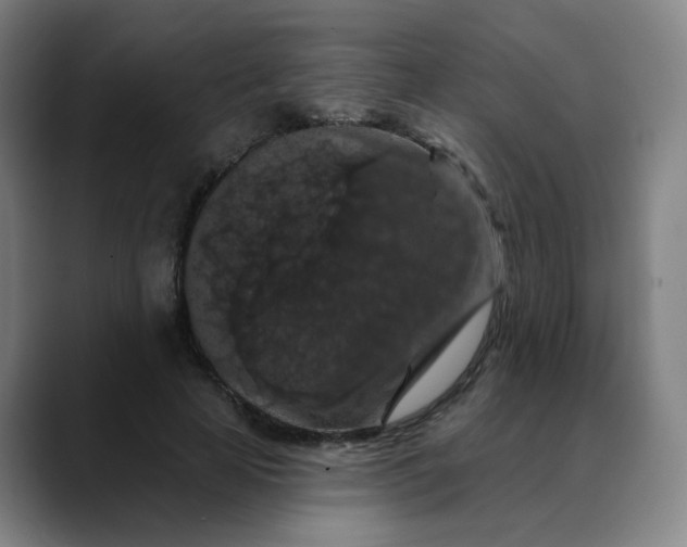 X0000088690641200706141413