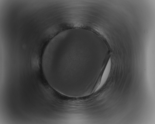 X0000088690643200706141413
