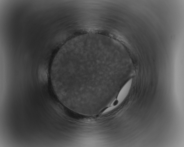 X0000088690644200706141413