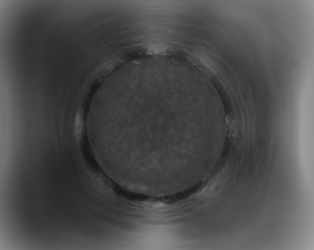 X0000088690648200706141413