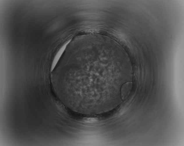 X0000088690649200706141413