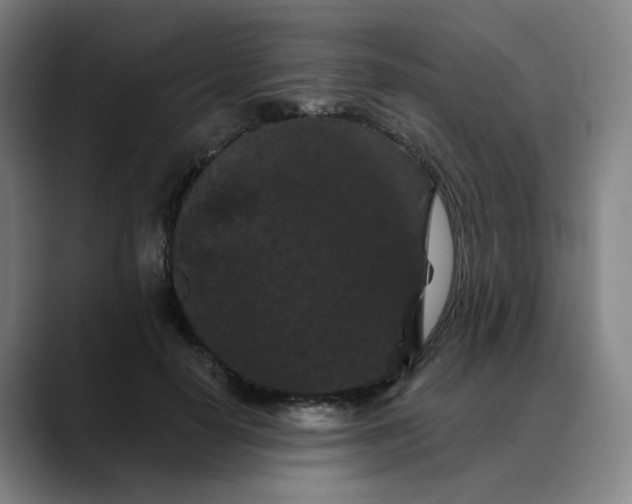 X0000088690650200706141413