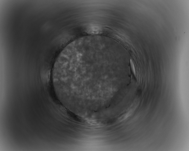 X0000088690652200706141413