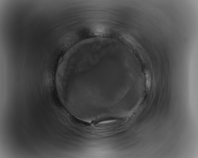 X0000088690653200706141413