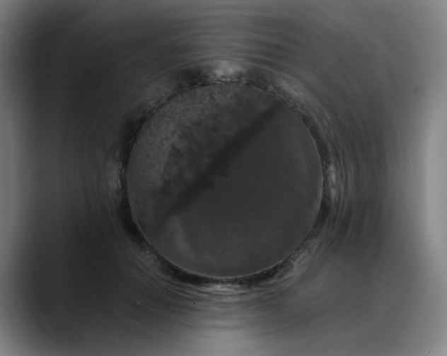 X0000088690654200706141413
