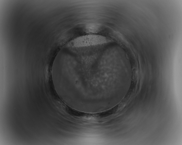 X0000088690655200706141413