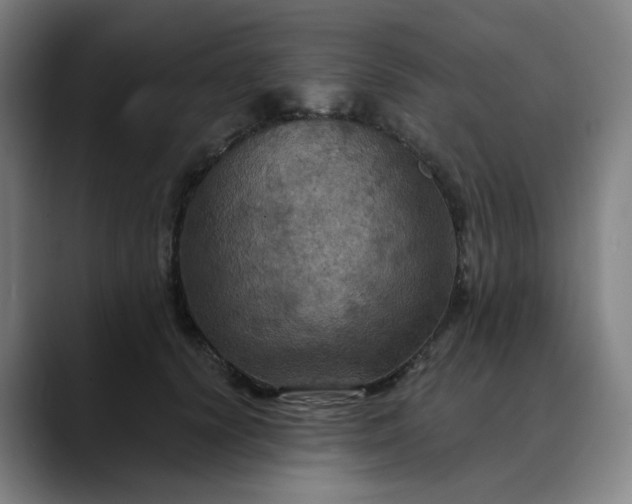 X0000088690656200706141413