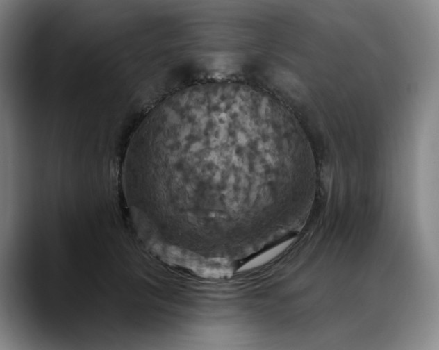 X0000088690657200706141413