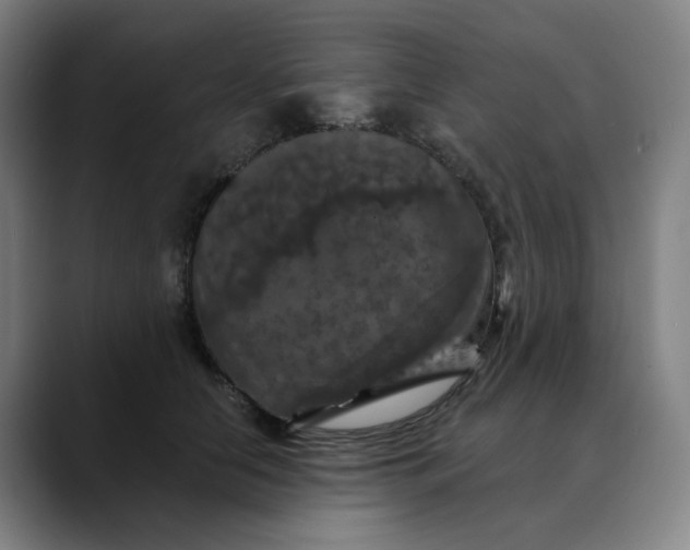 X0000088690658200706141413