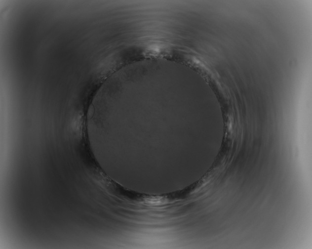 X0000088690659200706141413