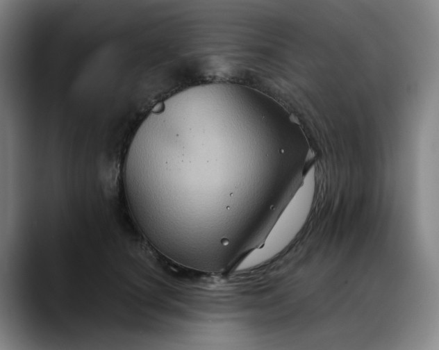 X0000088690660200706141413