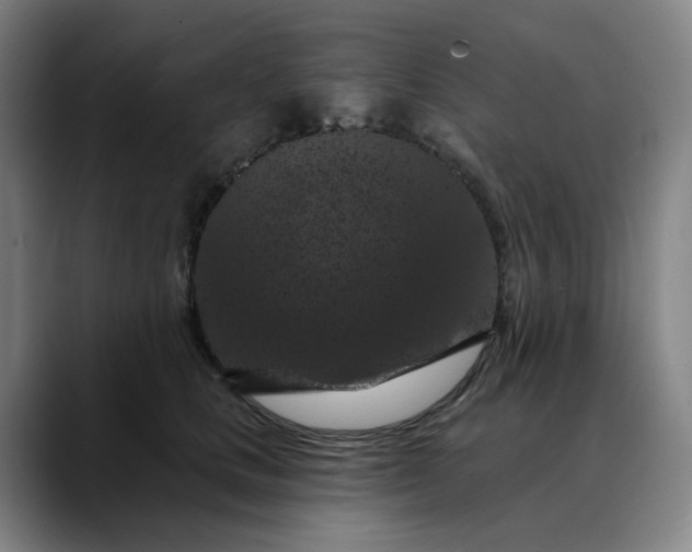 X0000088690661200706141413