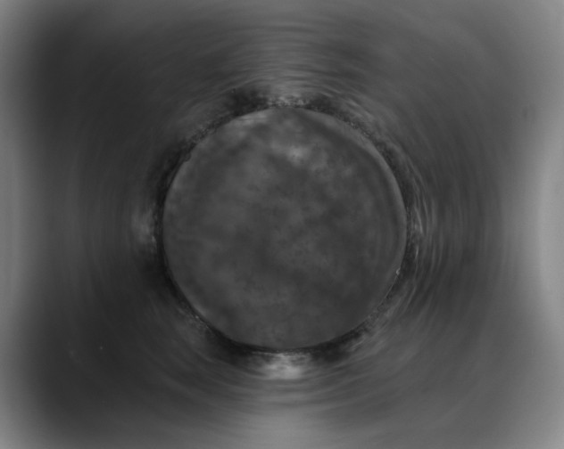 X0000088690663200706141413