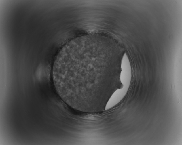 X0000088690664200706141413