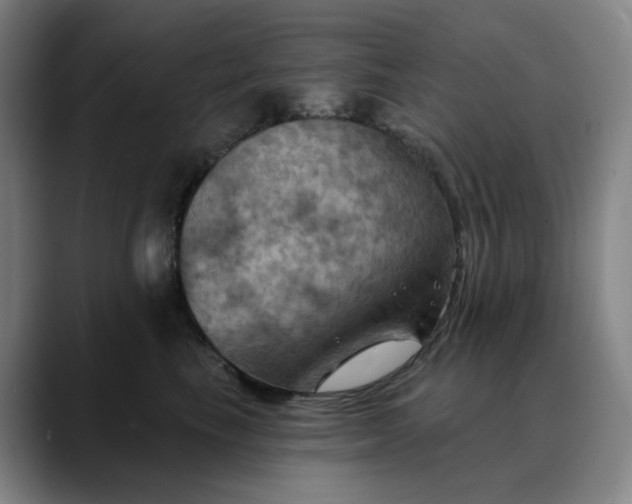 X0000088690665200706141413