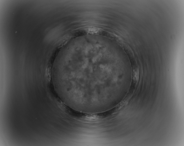 X0000088690666200706141413