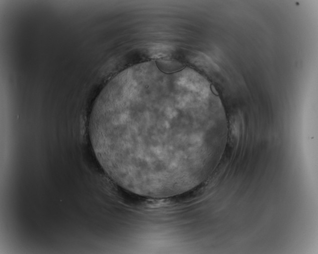 X0000088690667200706141413