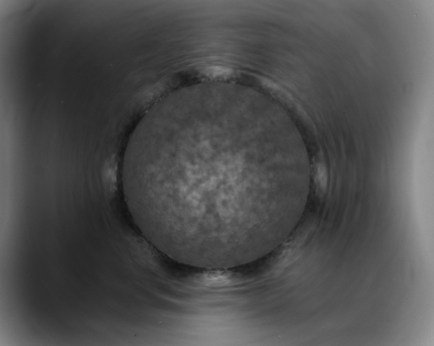 X0000088690668200706141413
