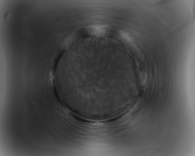 X0000088690669200706141413