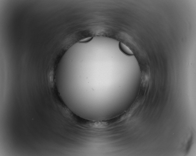 X0000088690670200706141413