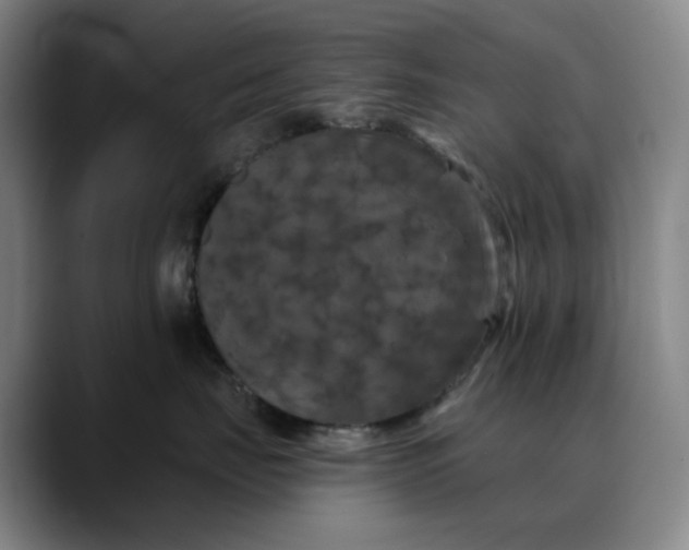 X0000088690671200706141413