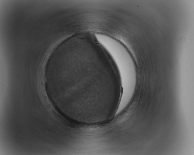 X0000088690673200706141413