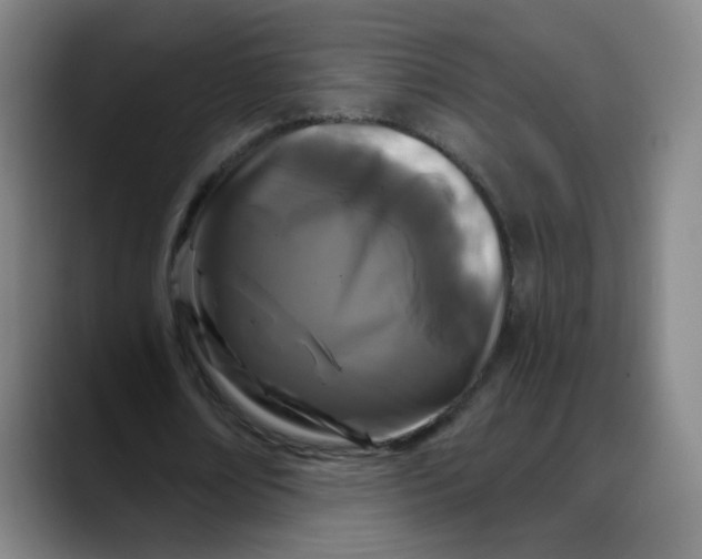 X0000088690674200706141413