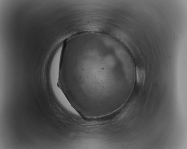 X0000088690675200706141413