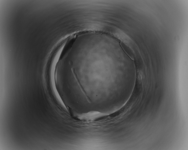 X0000088690676200706141413