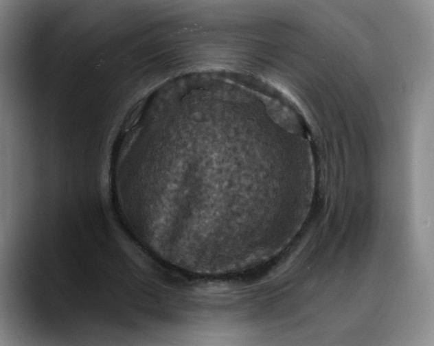 X0000088690677200706141413