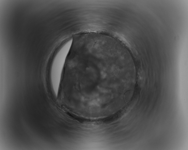 X0000088690679200706141413