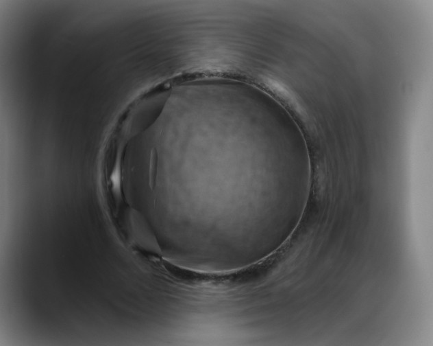 X0000088690680200706141413
