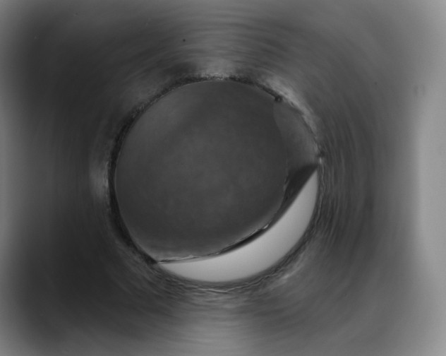 X0000088690681200706141413