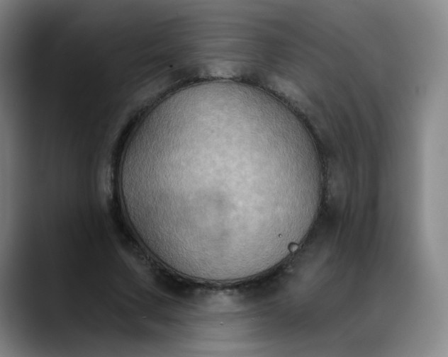 X0000088690683200706141412