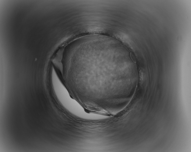 X0000088690684200706141412
