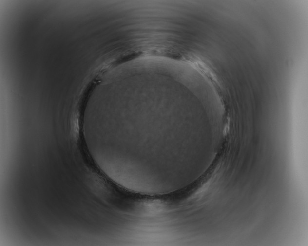 X0000088690685200706141412
