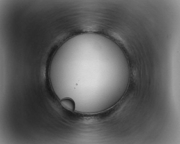 X0000088690686200706141412