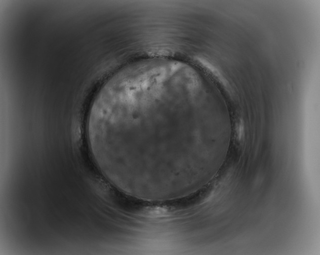 X0000088690687200706141412