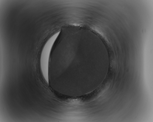 X0000088690689200706141412