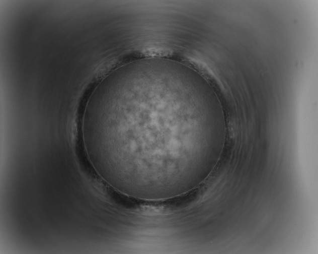 X0000088690690200706141412
