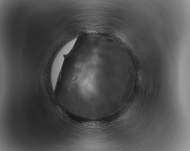 X0000088690691200706141412
