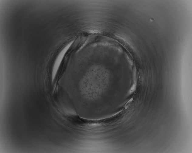 X0000088690692200706141412
