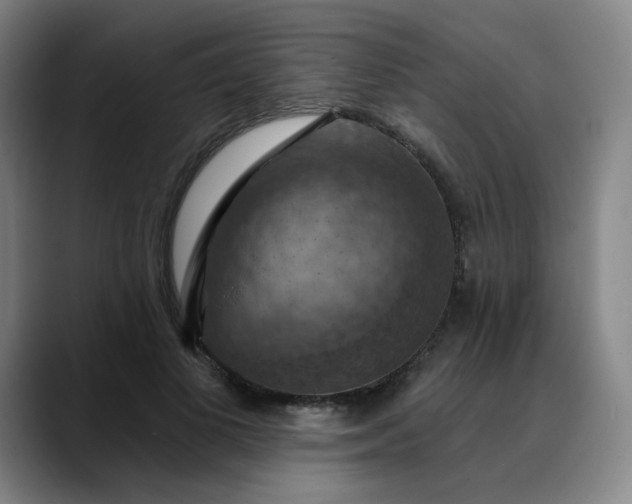 X0000088690693200706141412