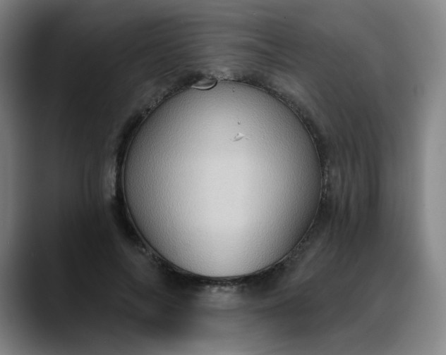 X0000088690694200706141412